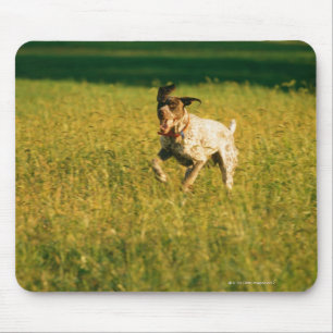 Dog running through grass mouse pad