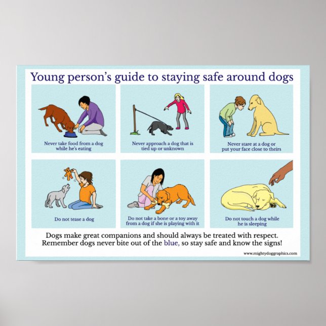 Dog safety poster (Front)