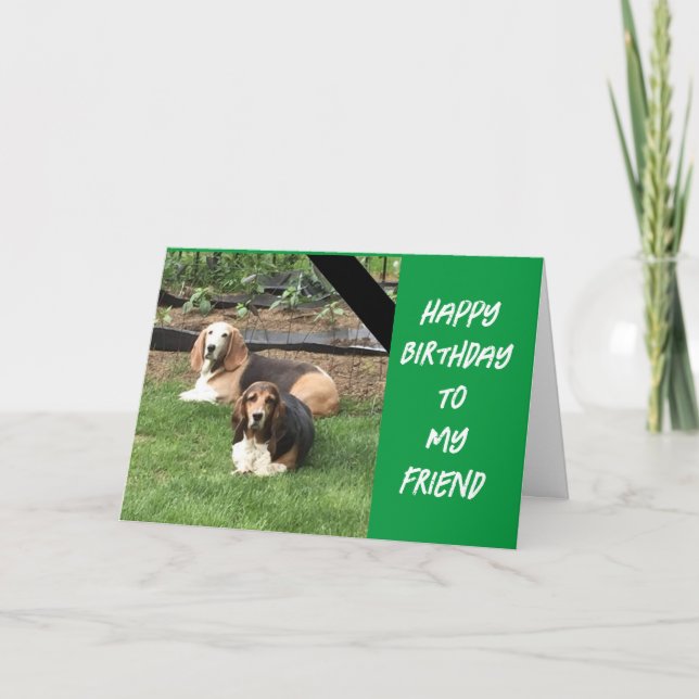 *DOG SAYS GO OUT & CELEBRATE YOU"  CARD (Front)