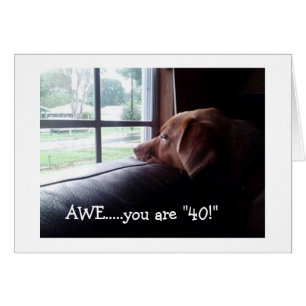DOG SAYS YOU CAN "STILL PARTY AND ENJOY 40th"