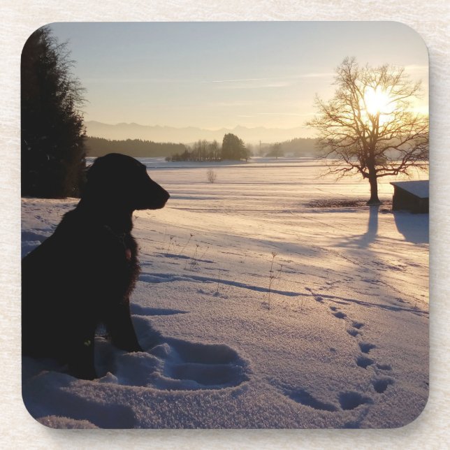 Dog Silhouette in Snowy Landscape Coaster (Front)