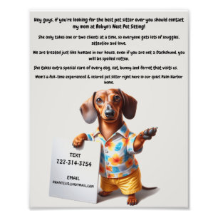 Dog Sitter Poster