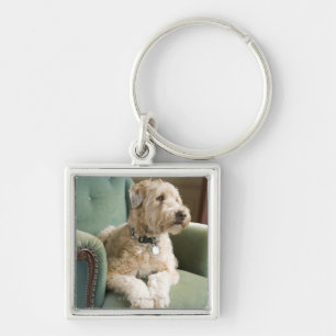 Dog sitting in armchair key ring