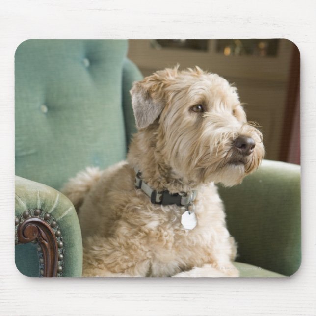 Dog sitting in armchair mouse pad (Front)