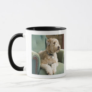 Dog sitting in armchair mug