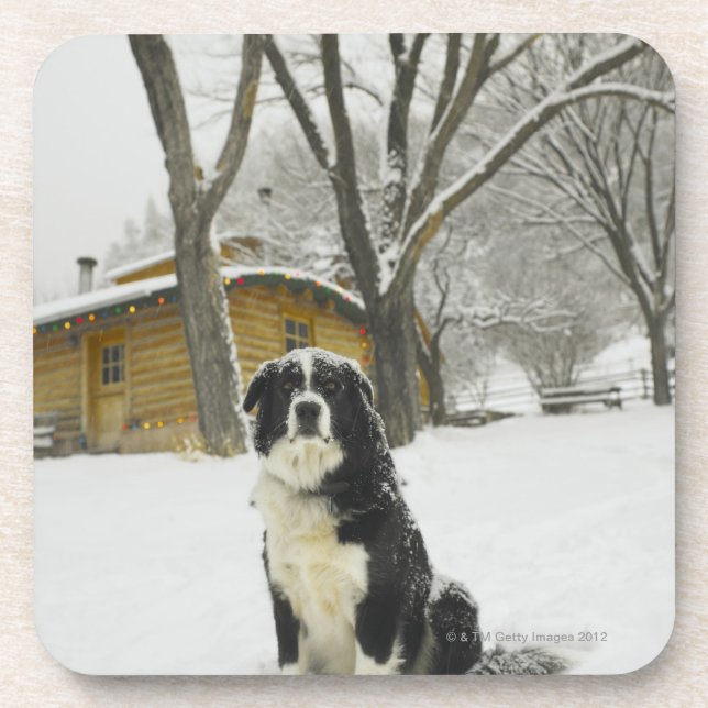 Dog sitting in snow with log cabin behind coaster (Front)