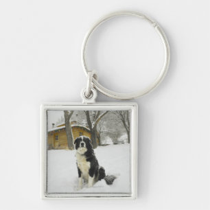 Dog sitting in snow with log cabin behind key ring