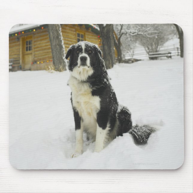 Dog sitting in snow with log cabin behind mouse pad (Front)