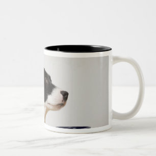 Dog sitting on a chair in front of a bowl on the Two-Tone coffee mug