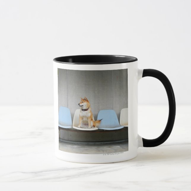Dog sitting on bench mug (Right)
