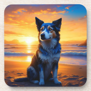 Dog sitting on Ocean Beach at Sunset Coaster