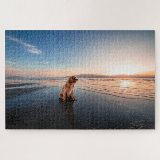 Dog sitting on the beach jigsaw puzzle