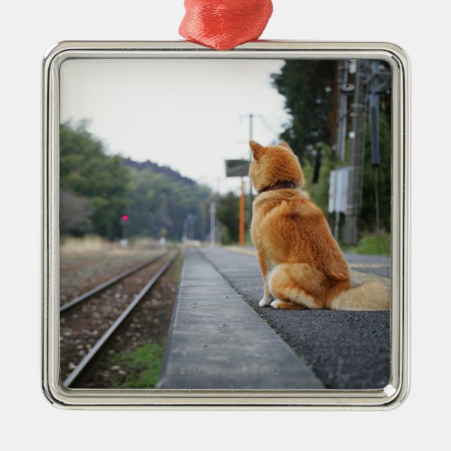 Dog sitting on train station metal ornament (Front)