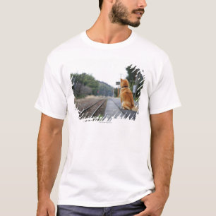 Dog sitting on train station T-Shirt