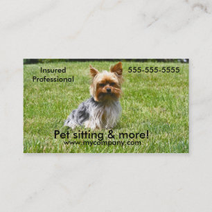 Dog sitting, pet sitting, dog care business card