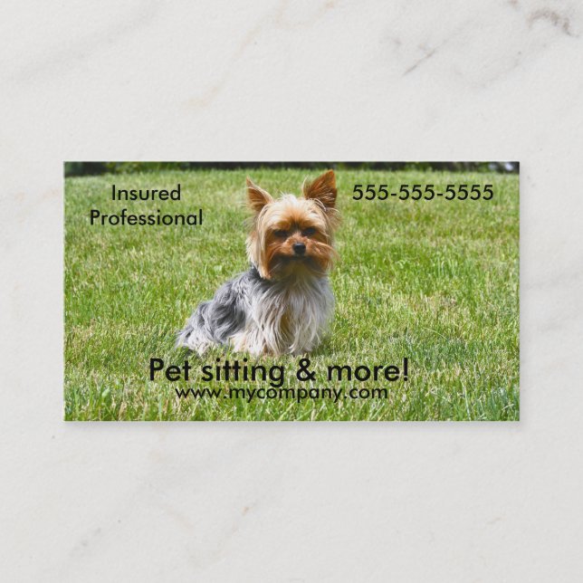 Dog sitting, pet sitting, dog care business card (Front)