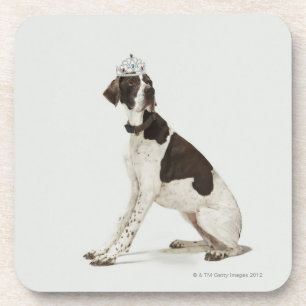 Dog sitting with a tiara on head coaster