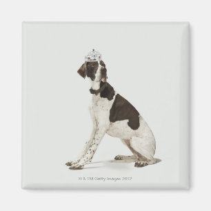 Dog sitting with a tiara on head magnet