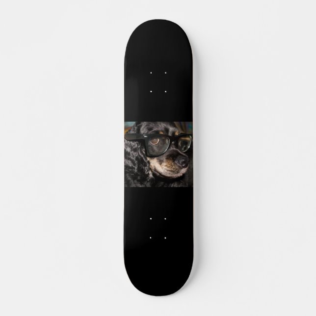 Dog Skate Board (Front)