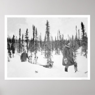 Dog Sled Men Fairbanks 1920 Poster