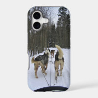 Dog Sledding in Quebec, Canada