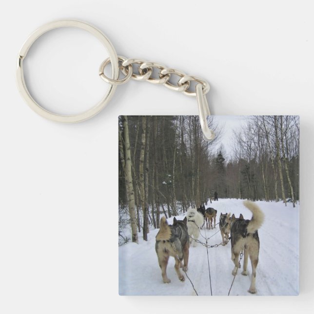 Dog Sledding in Quebec, Canada Key Ring (Front)