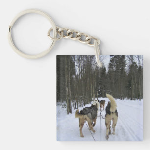 Dog Sledding in Quebec, Canada Key Ring