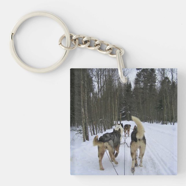 Dog Sledding in Quebec, Canada Key Ring (Front)