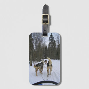 Dog Sledding in Quebec, Canada Luggage Tag