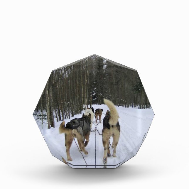 Dog Sledding in Quebec, Canada Photo Block (Front)