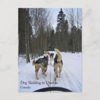 Dog Sledding in Quebec, Canada