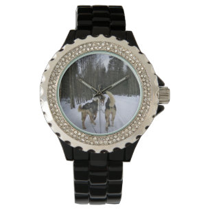 Dog Sledding in Quebec, Canada Watch