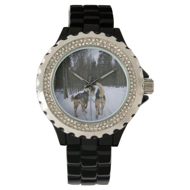 Dog Sledding in Quebec, Canada Watch (Front)