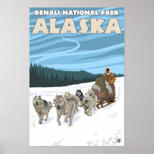 Dog Sledding Scene - Denali Nat'l Park, Alaska Poster