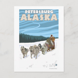 Dog Sledding Scene - Petersburg, Alaska Postcard