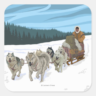 Dog Sledding Scene - Yukon, Alaska Square Sticker
