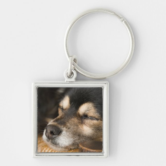 Dog sleeping 2 key ring (Front)