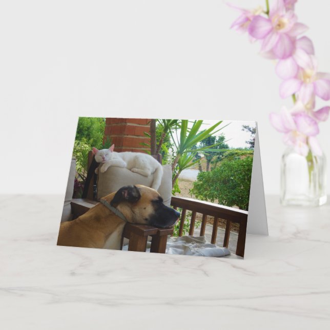 Dog Sleeping in Chair with White Kitten Card (Orchid)