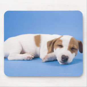 Dog sleeping mouse pad