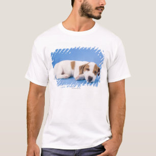 Dog sleeping T-Shirt