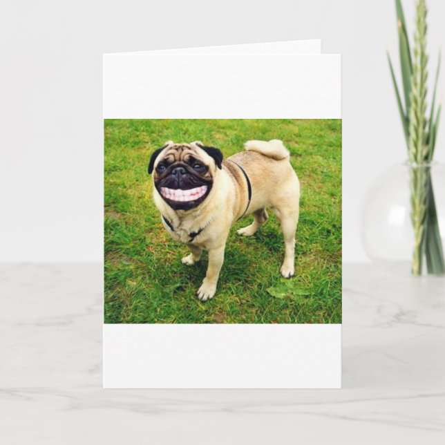 dog smile pug card (Front)