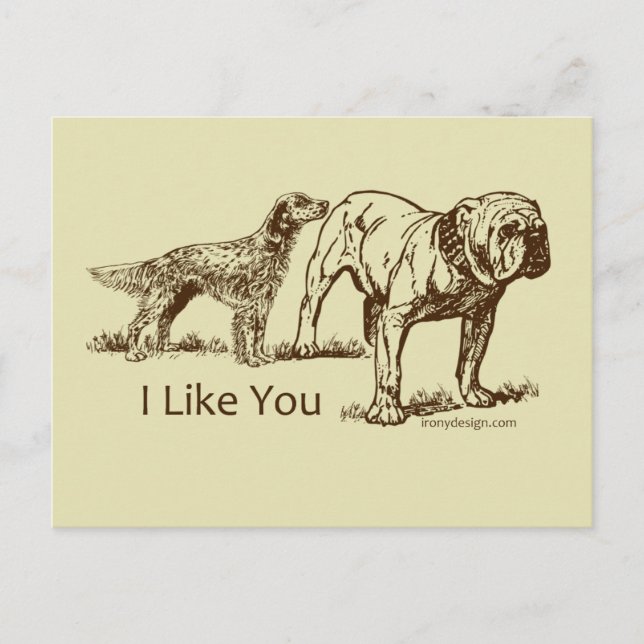 Dog Sniffs Butt Postcard (Front)