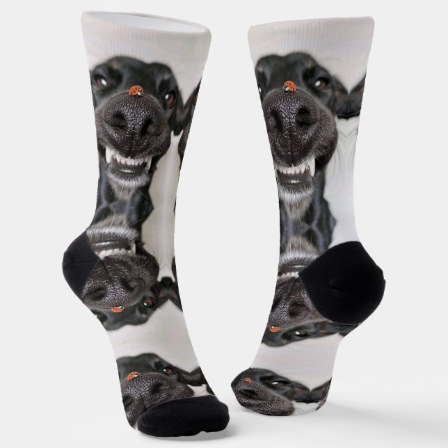 Dog Socks (Angled)