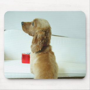 Dog standing on a couch with a gift mouse pad