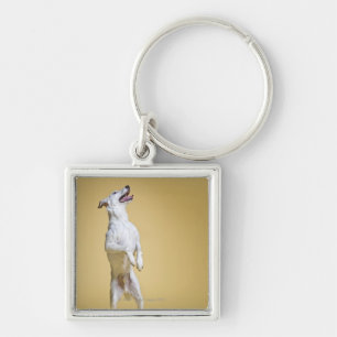 Dog standing on hind legs key ring