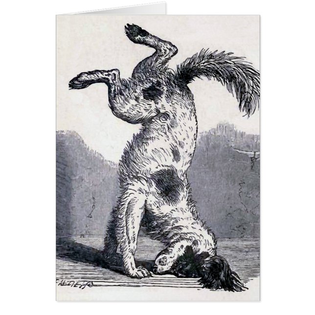 "Dog Standing on his Head" (Front)