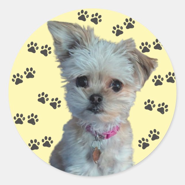 Dog Sticker (Front)