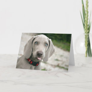 Dog sticking tongue out card