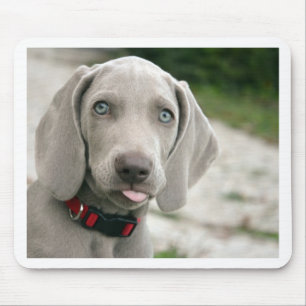 Dog sticking tongue out mouse pad