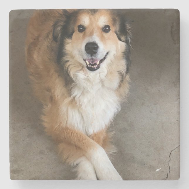 Dog Stone Coaster (Front)